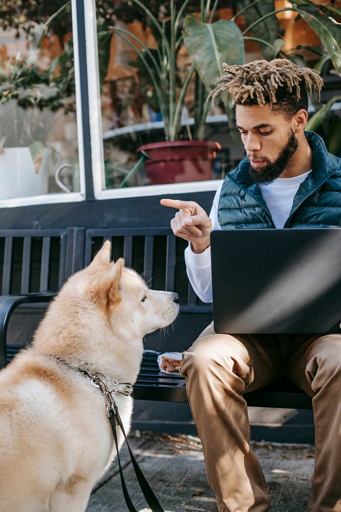 18 Human Habits That Confuse Dogs The Most, According To An Animal Behaviorist 18 Human Habits That Confuse Dogs The Most, According To An Animal Behaviorist