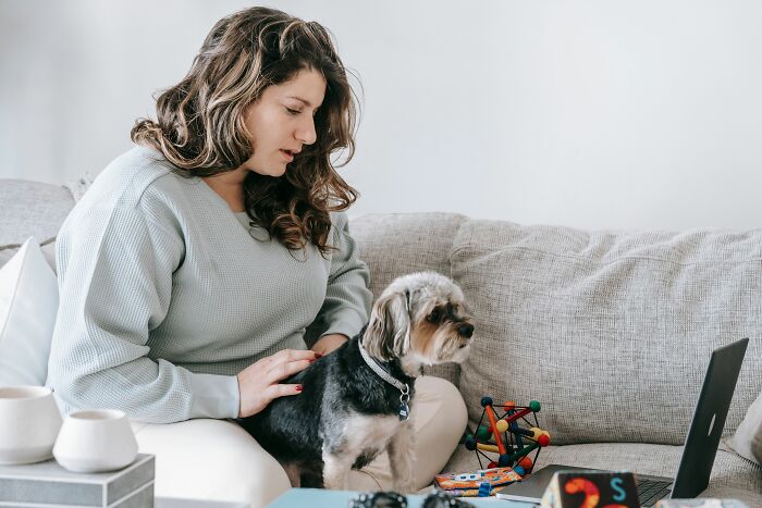 18 Human Habits That Confuse Dogs The Most, According To An Animal Behaviorist 18 Human Habits That Confuse Dogs The Most, According To An Animal Behaviorist