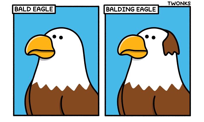 This Artist Makes Comics In Hopes Of Making People Chuckle, And Here Are His 65 New Works This Artist Makes Comics In Hopes Of Making People Chuckle, And Here Are His 65 New Works