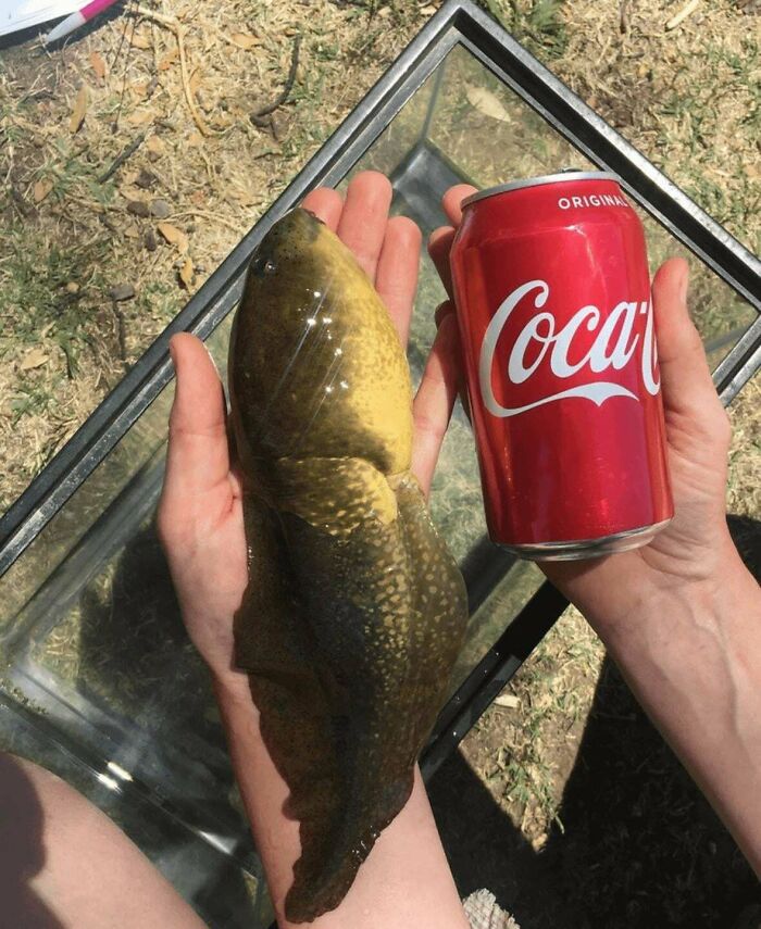95 Photos That Got People Saying ‘Damn, That’s Interesting’ 95 Photos That Got People Saying ‘Damn, That’s Interesting’