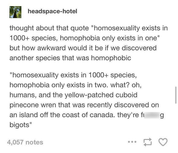 85 Wild Tumblr Gems The Internet Refuse To Forget To This Day (New Pics) 85 Wild Tumblr Gems The Internet Refuse To Forget To This Day (New Pics)