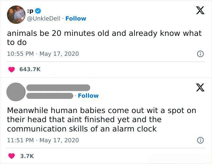 107 Burns So Hilariously Savage, People Needed A Doctor After 107 Burns So Hilariously Savage, People Needed A Doctor After