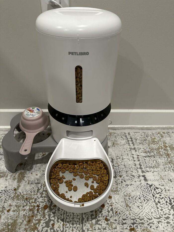 22 Prime Day Deals So Good We Actually Gasped A Little When We Saw The Prices 22 Prime Day Deals So Good We Actually Gasped A Little When We Saw The Prices