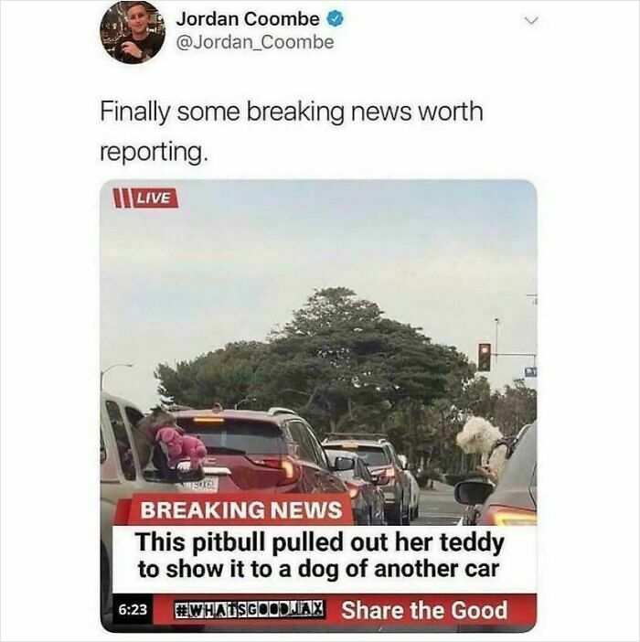 42 Weird And Unusual Things That Are Wholesome In Their Own Way