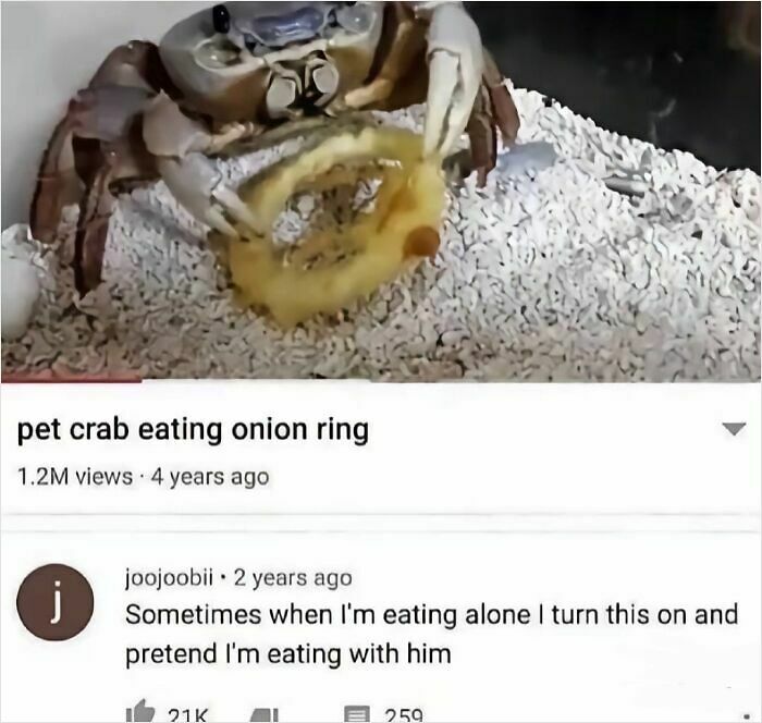 42 Weird And Unusual Things That Are Wholesome In Their Own Way