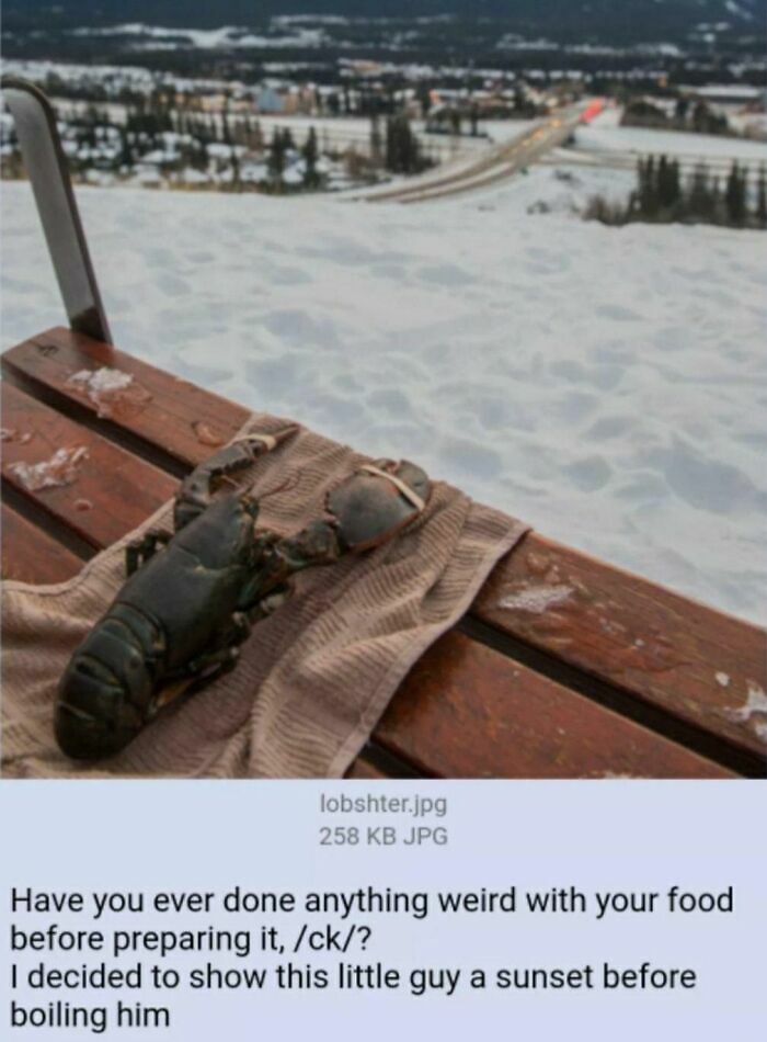42 Weird And Unusual Things That Are Wholesome In Their Own Way