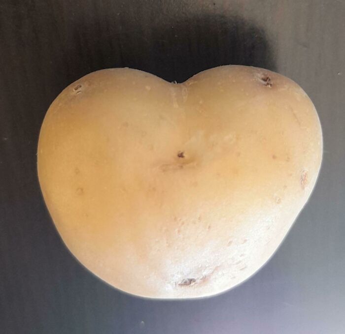 42 Weird And Unusual Things That Are Wholesome In Their Own Way