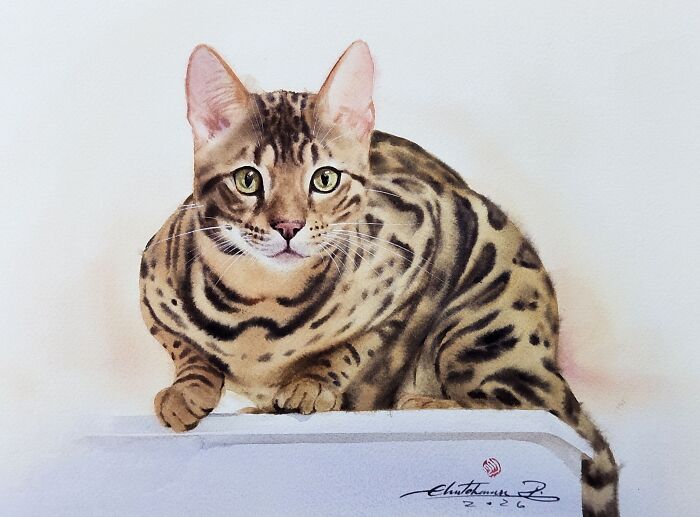 This Artist Creates Stunning Watercolor Paintings Of Cats, And Here Are 45 Of His Best Works This Artist Creates Stunning Watercolor Paintings Of Cats, And Here Are 45 Of His Best Works