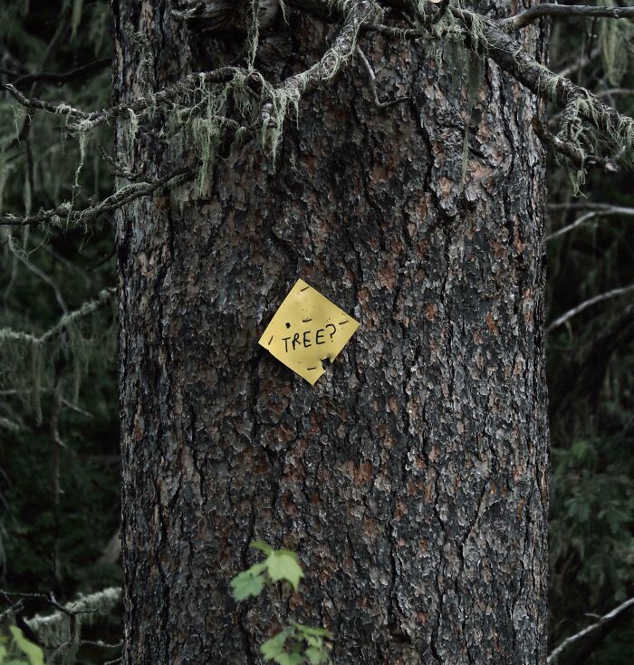 54 Funny Signs Found In The Wild That Are Worth Every Blister And The Stale Trail Mix 54 Funny Signs Found In The Wild That Are Worth Every Blister And The Stale Trail Mix