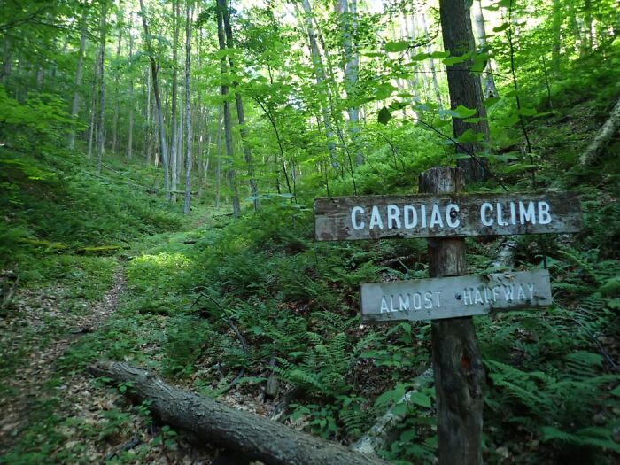 54 Funny Signs Found In The Wild That Are Worth Every Blister And The Stale Trail Mix 54 Funny Signs Found In The Wild That Are Worth Every Blister And The Stale Trail Mix