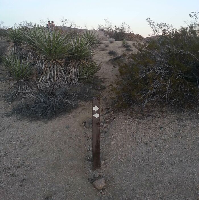 54 Funny Signs Found In The Wild That Are Worth Every Blister And The Stale Trail Mix 54 Funny Signs Found In The Wild That Are Worth Every Blister And The Stale Trail Mix