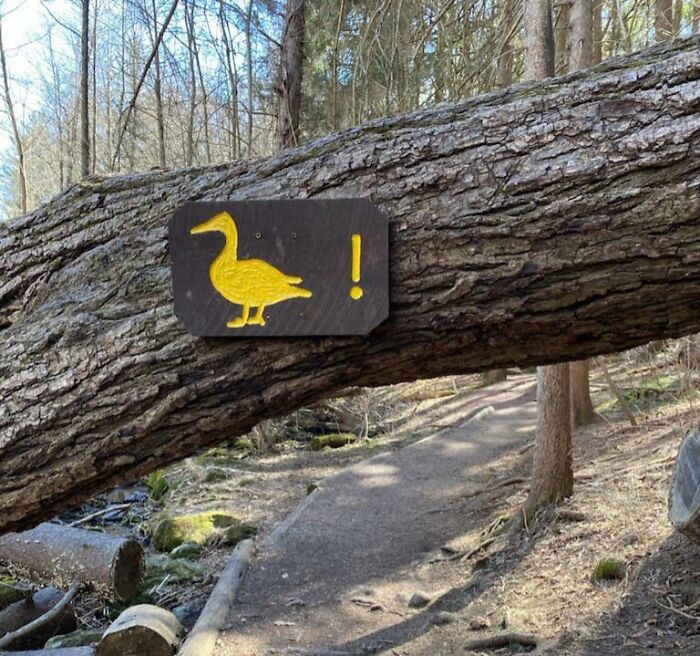54 Funny Signs Found In The Wild That Are Worth Every Blister And The Stale Trail Mix 54 Funny Signs Found In The Wild That Are Worth Every Blister And The Stale Trail Mix