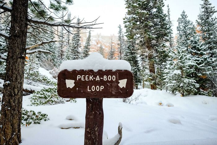 54 Funny Signs Found In The Wild That Are Worth Every Blister And The Stale Trail Mix 54 Funny Signs Found In The Wild That Are Worth Every Blister And The Stale Trail Mix
