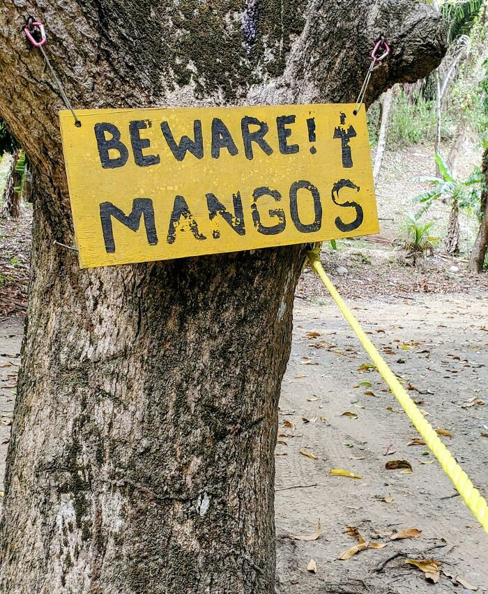 54 Funny Signs Found In The Wild That Are Worth Every Blister And The Stale Trail Mix 54 Funny Signs Found In The Wild That Are Worth Every Blister And The Stale Trail Mix