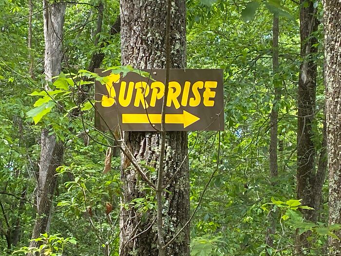 54 Funny Signs Found In The Wild That Are Worth Every Blister And The Stale Trail Mix 54 Funny Signs Found In The Wild That Are Worth Every Blister And The Stale Trail Mix