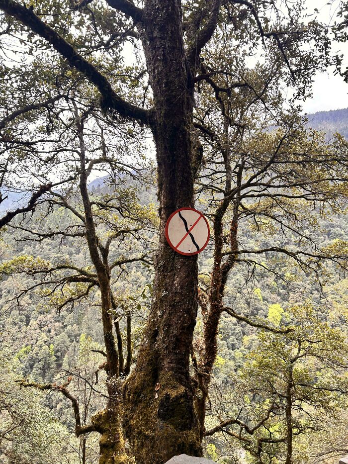 54 Funny Signs Found In The Wild That Are Worth Every Blister And The Stale Trail Mix 54 Funny Signs Found In The Wild That Are Worth Every Blister And The Stale Trail Mix