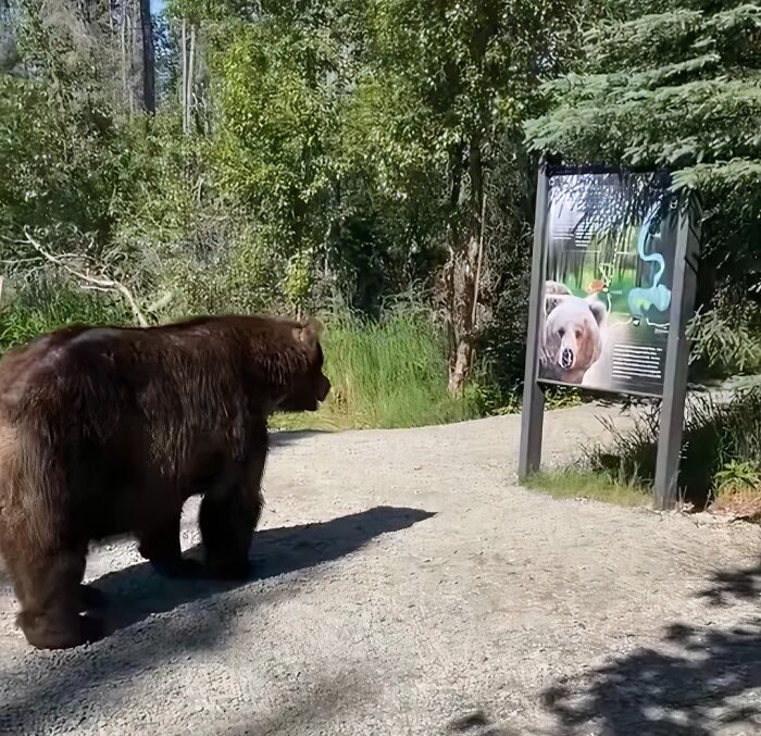 54 Funny Signs Found In The Wild That Are Worth Every Blister And The Stale Trail Mix 54 Funny Signs Found In The Wild That Are Worth Every Blister And The Stale Trail Mix