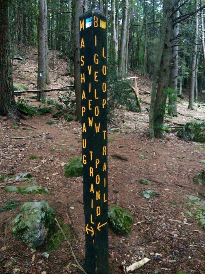54 Funny Signs Found In The Wild That Are Worth Every Blister And The Stale Trail Mix 54 Funny Signs Found In The Wild That Are Worth Every Blister And The Stale Trail Mix