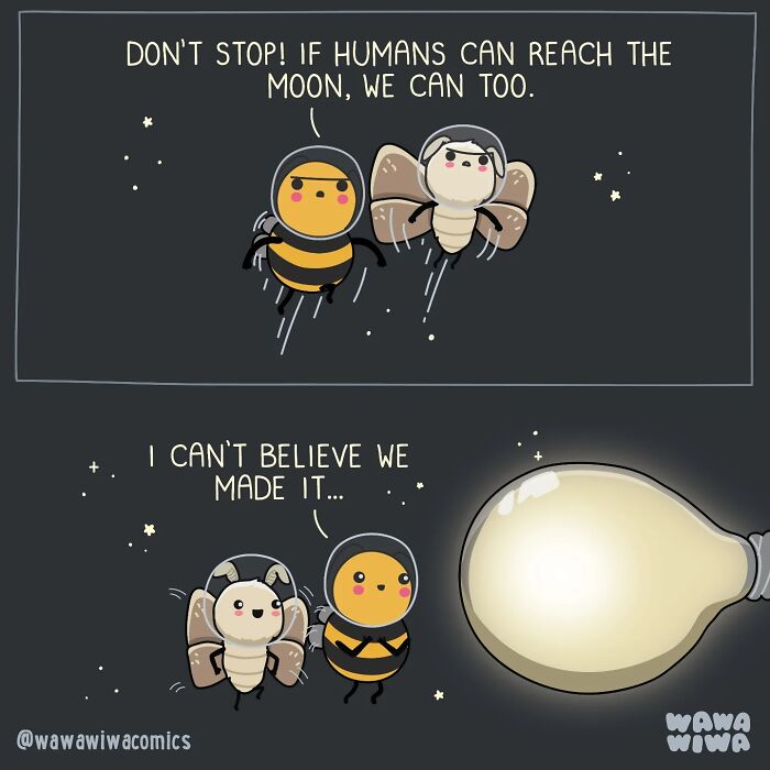 These 73 New Comics By Wawawiwa Turn Ordinary Things Into Adorable Characters These 73 New Comics By Wawawiwa Turn Ordinary Things Into Adorable Characters