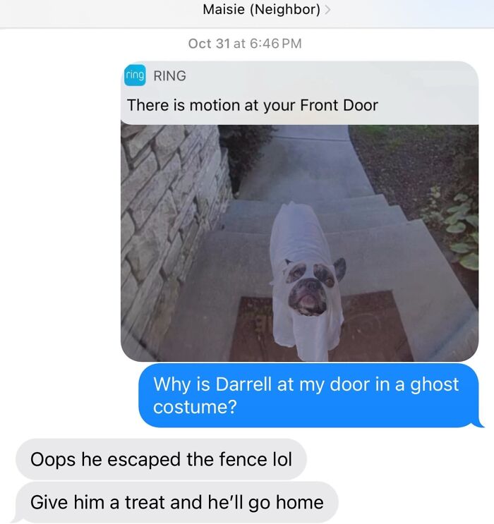 This Page Shared 40 Funny Memes For Your Daily Dose Of Cute Animal Content (New Pics) This Page Shared 40 Funny Memes For Your Daily Dose Of Cute Animal Content (New Pics)