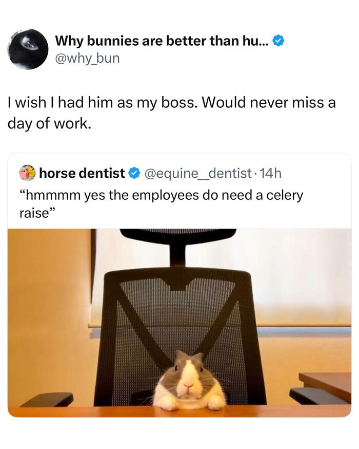 This Page Shared 40 Funny Memes For Your Daily Dose Of Cute Animal Content (New Pics) This Page Shared 40 Funny Memes For Your Daily Dose Of Cute Animal Content (New Pics)