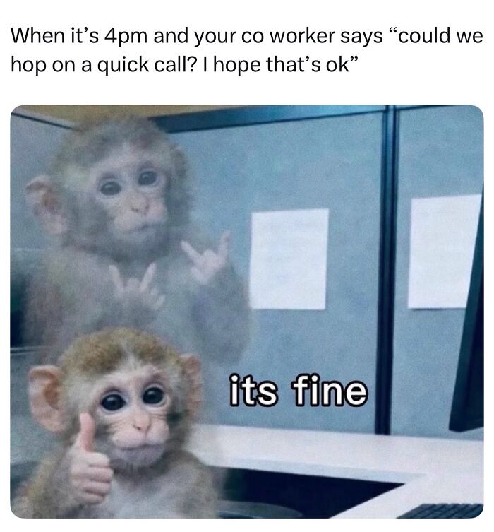 This Page Shared 40 Funny Memes For Your Daily Dose Of Cute Animal Content (New Pics) This Page Shared 40 Funny Memes For Your Daily Dose Of Cute Animal Content (New Pics)