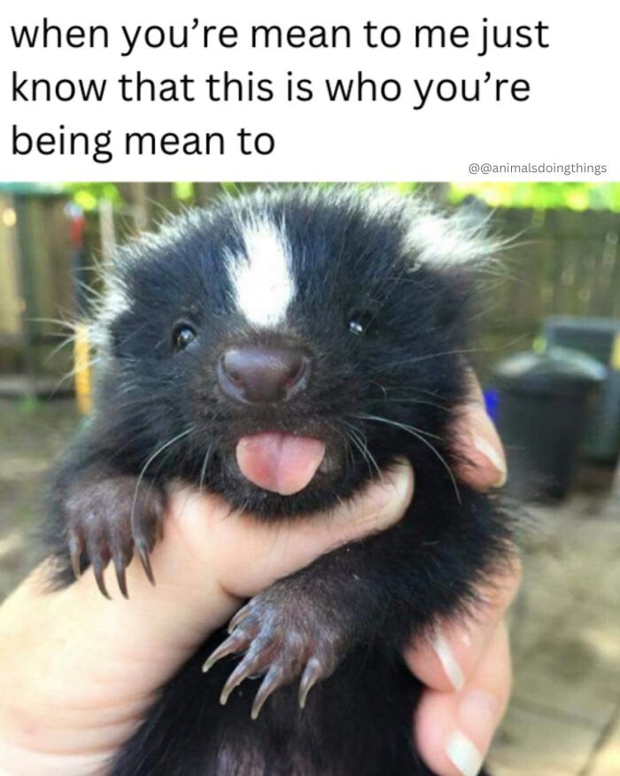 This Page Shared 40 Funny Memes For Your Daily Dose Of Cute Animal Content (New Pics) This Page Shared 40 Funny Memes For Your Daily Dose Of Cute Animal Content (New Pics)