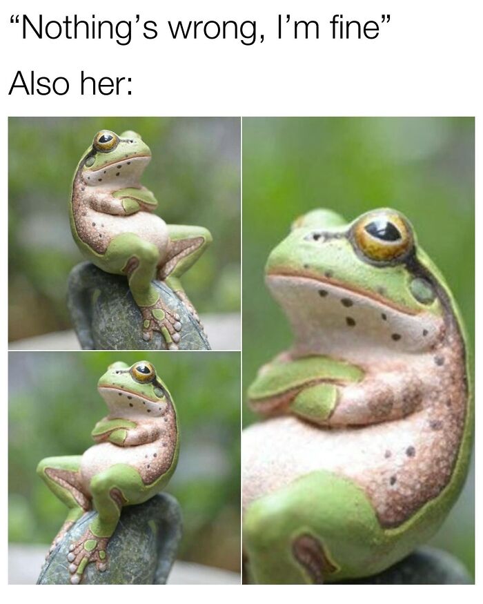 This Page Shared 40 Funny Memes For Your Daily Dose Of Cute Animal Content (New Pics) This Page Shared 40 Funny Memes For Your Daily Dose Of Cute Animal Content (New Pics)