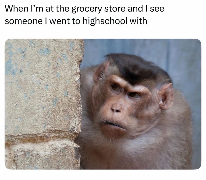 This Page Shared 40 Funny Memes For Your Daily Dose Of Cute Animal Content (New Pics) This Page Shared 40 Funny Memes For Your Daily Dose Of Cute Animal Content (New Pics)