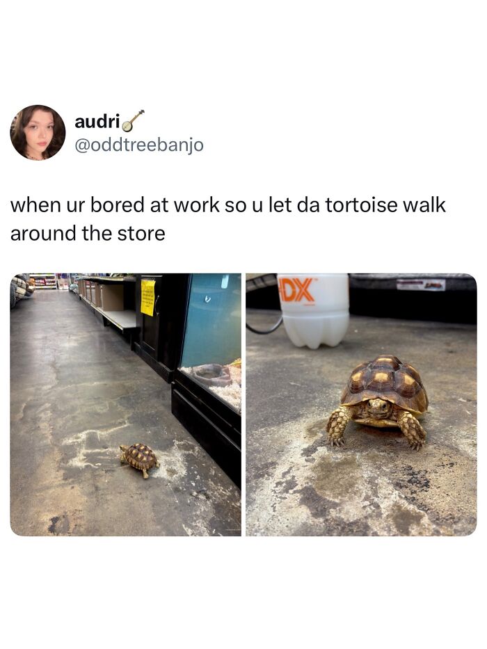 This Page Shared 40 Funny Memes For Your Daily Dose Of Cute Animal Content (New Pics) This Page Shared 40 Funny Memes For Your Daily Dose Of Cute Animal Content (New Pics)