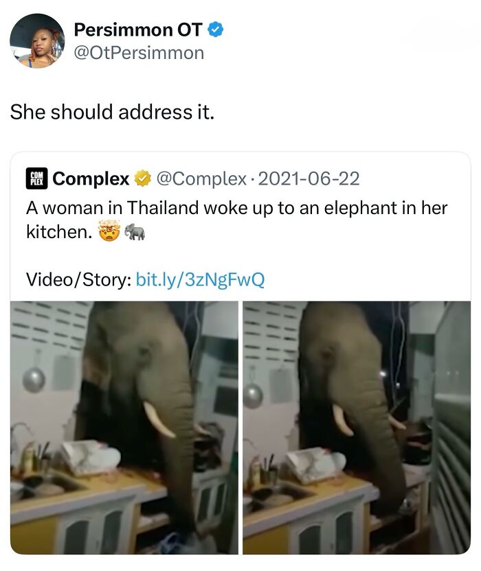 This Page Shared 40 Funny Memes For Your Daily Dose Of Cute Animal Content (New Pics) This Page Shared 40 Funny Memes For Your Daily Dose Of Cute Animal Content (New Pics)