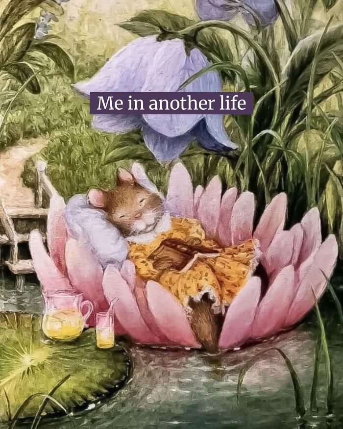 This Page Shared 40 Funny Memes For Your Daily Dose Of Cute Animal Content (New Pics) This Page Shared 40 Funny Memes For Your Daily Dose Of Cute Animal Content (New Pics)