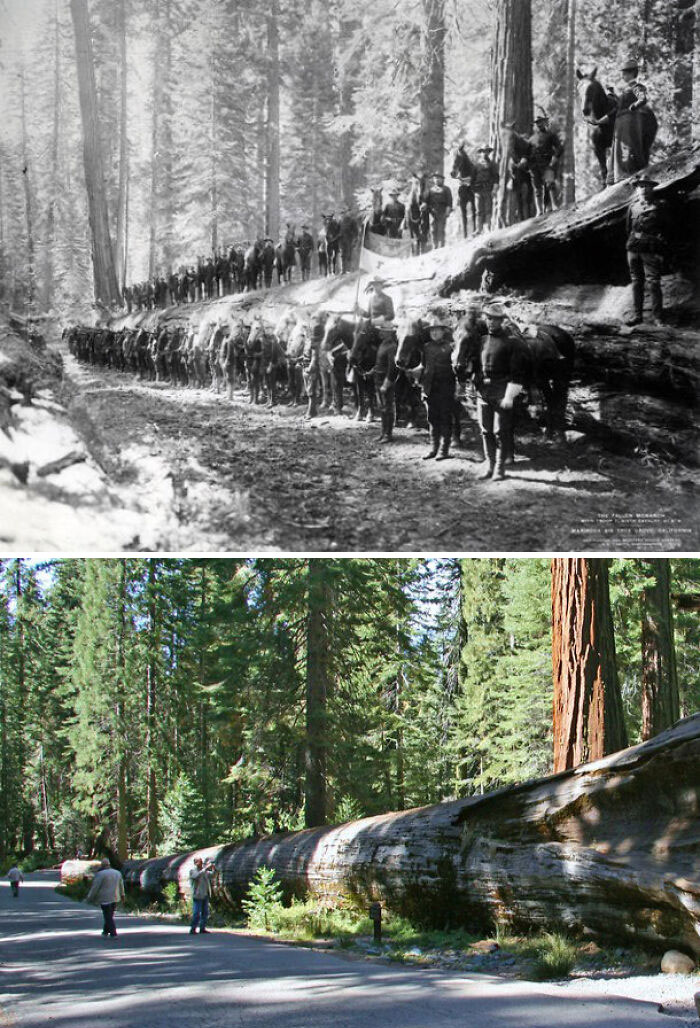 91 Before-And-After Photos That Show How Much America Has Changed 91 Before-And-After Photos That Show How Much America Has Changed