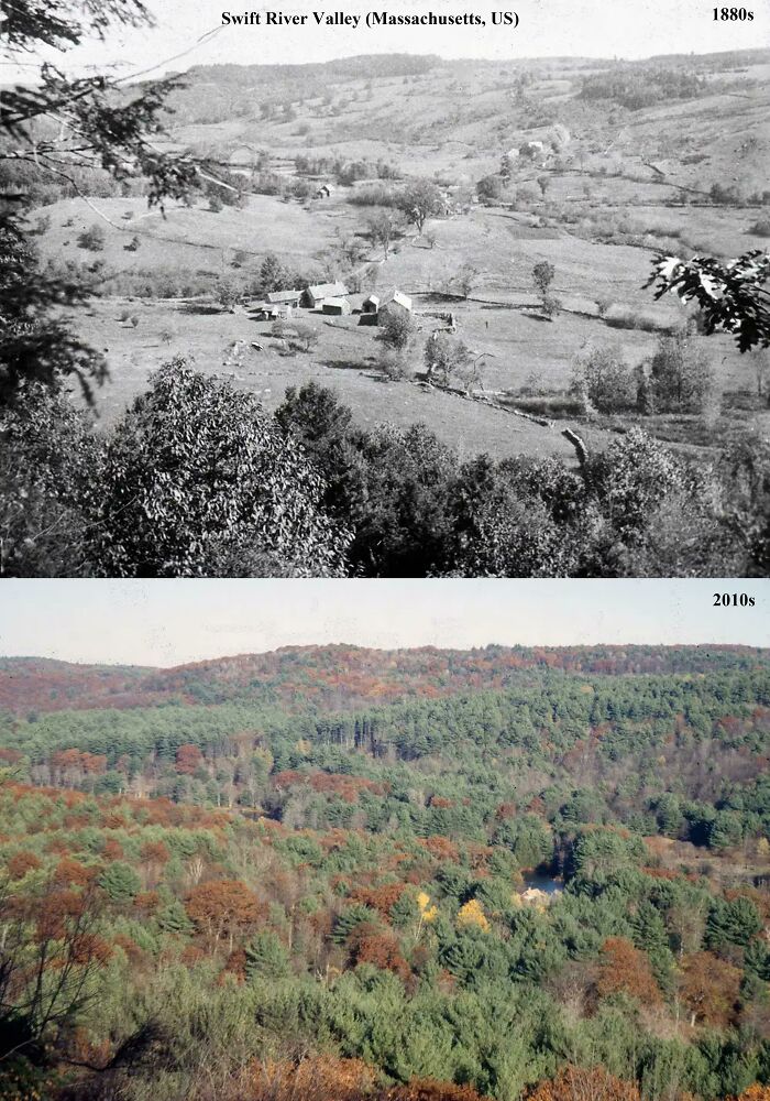 91 Before-And-After Photos That Show How Much America Has Changed 91 Before-And-After Photos That Show How Much America Has Changed