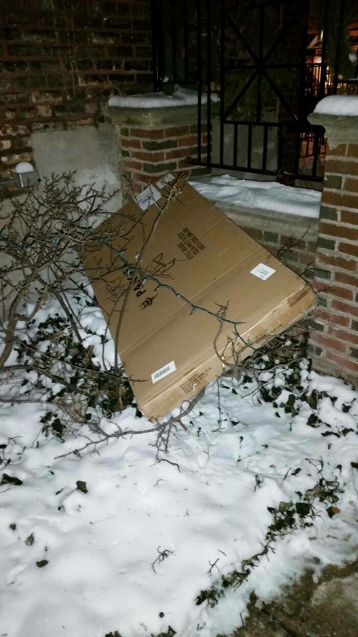 78 Times Delivery Fails Left People Speechless, Laughing, Or Crying 78 Times Delivery Fails Left People Speechless, Laughing, Or Crying