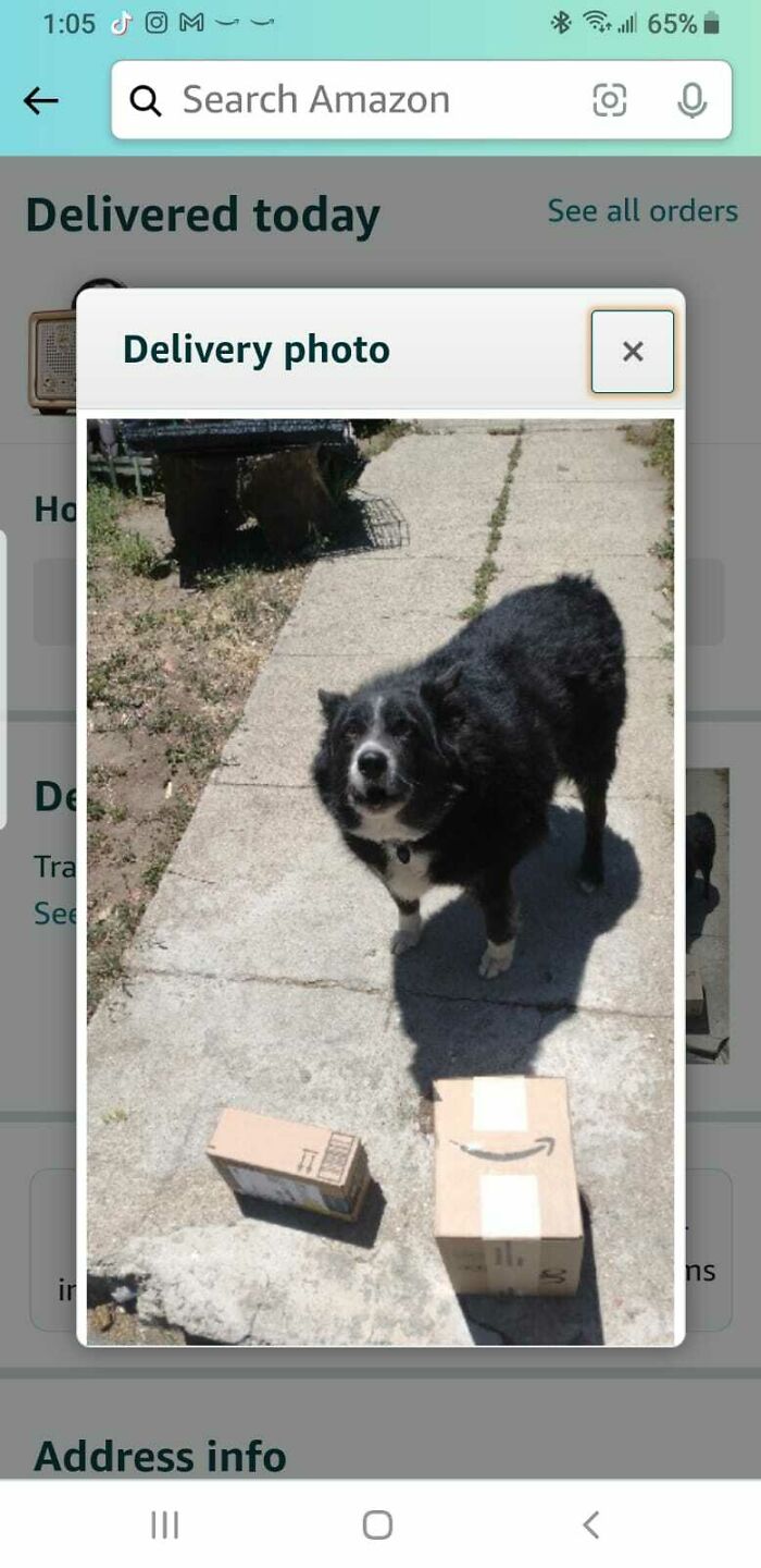 78 Times Delivery Fails Left People Speechless, Laughing, Or Crying 78 Times Delivery Fails Left People Speechless, Laughing, Or Crying