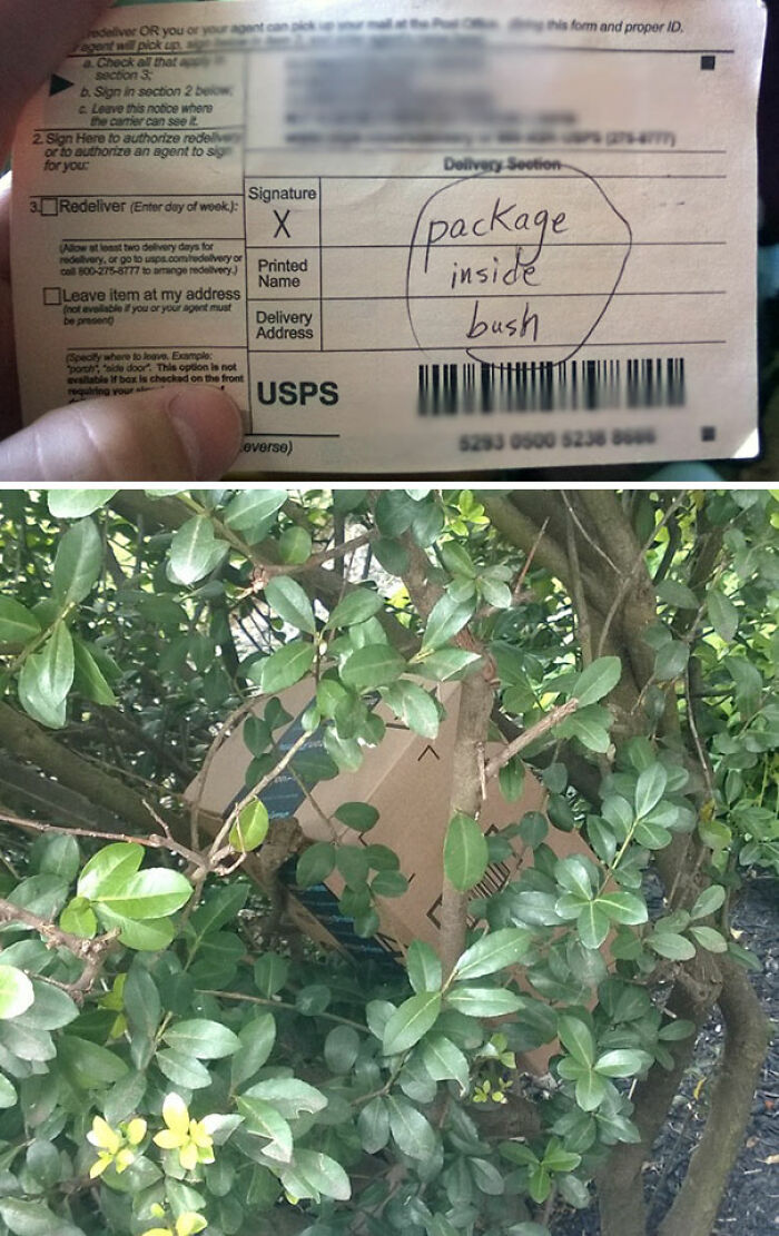 78 Times Delivery Fails Left People Speechless, Laughing, Or Crying 78 Times Delivery Fails Left People Speechless, Laughing, Or Crying
