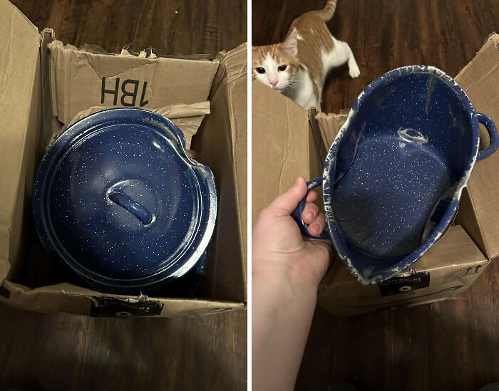 78 Times Delivery Fails Left People Speechless, Laughing, Or Crying 78 Times Delivery Fails Left People Speechless, Laughing, Or Crying