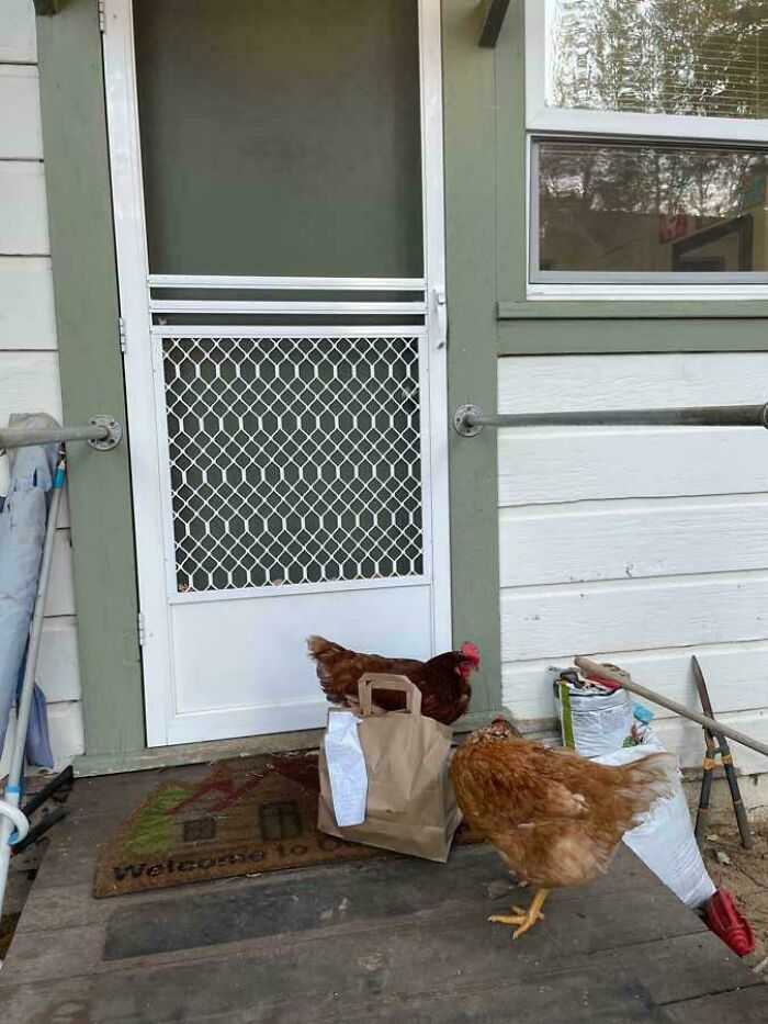 78 Times Delivery Fails Left People Speechless, Laughing, Or Crying 78 Times Delivery Fails Left People Speechless, Laughing, Or Crying