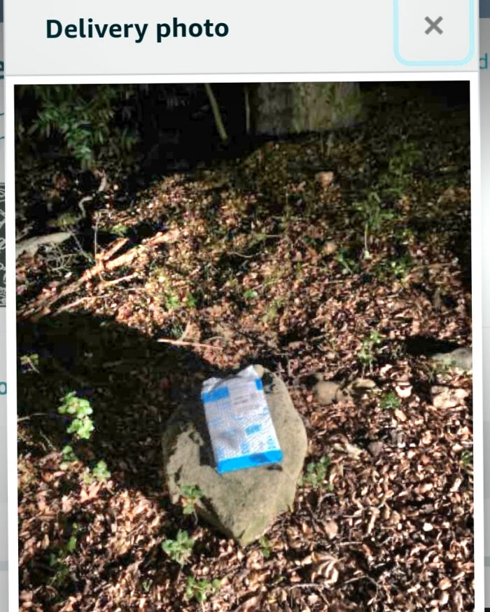 78 Times Delivery Fails Left People Speechless, Laughing, Or Crying 78 Times Delivery Fails Left People Speechless, Laughing, Or Crying
