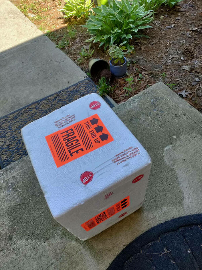 78 Times Delivery Fails Left People Speechless, Laughing, Or Crying 78 Times Delivery Fails Left People Speechless, Laughing, Or Crying