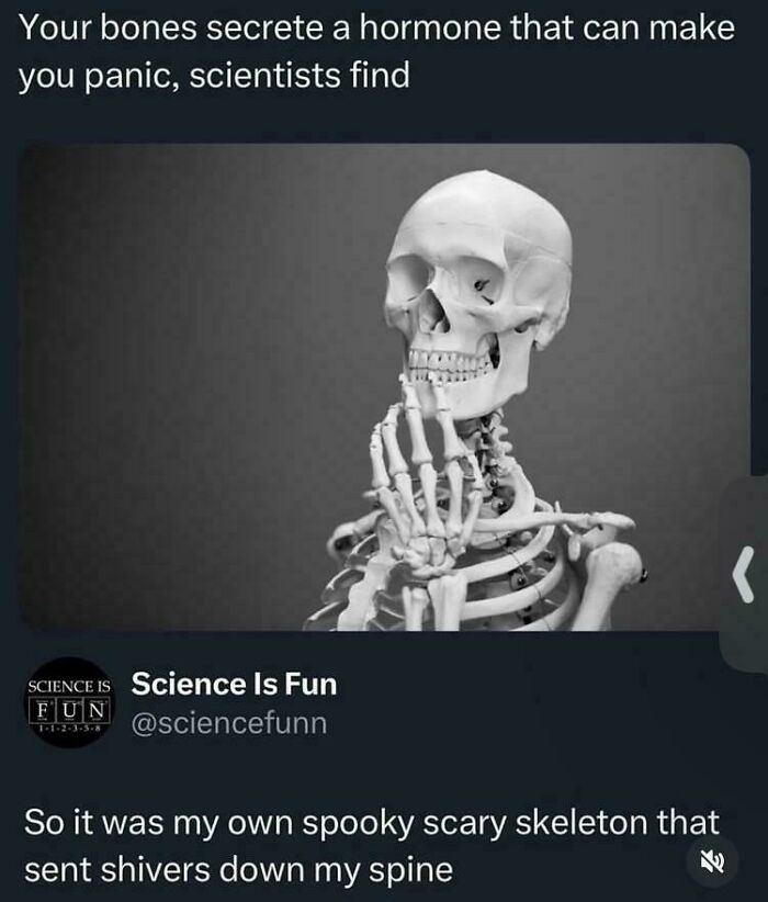 75 Memes So Relatable They Feel Personally Targeted