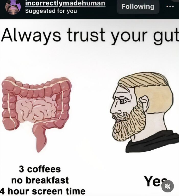 75 Memes So Relatable They Feel Personally Targeted