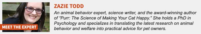 17 Cat Myths People Still Believe, Debunked By An Animal Behavior Expert 17 Cat Myths People Still Believe, Debunked By An Animal Behavior Expert