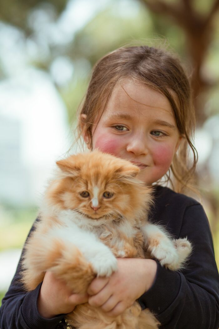 17 Cat Myths People Still Believe, Debunked By An Animal Behavior Expert 17 Cat Myths People Still Believe, Debunked By An Animal Behavior Expert