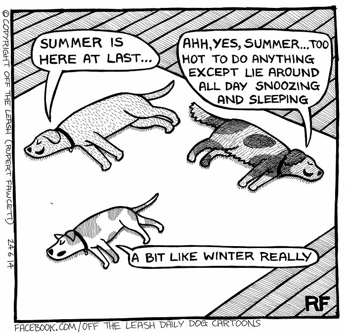 If You’re A Dog Owner, These 30 New “Off The Leash” Cartoons Might Totally Hit Home If You’re A Dog Owner, These 30 New “Off The Leash” Cartoons Might Totally Hit Home