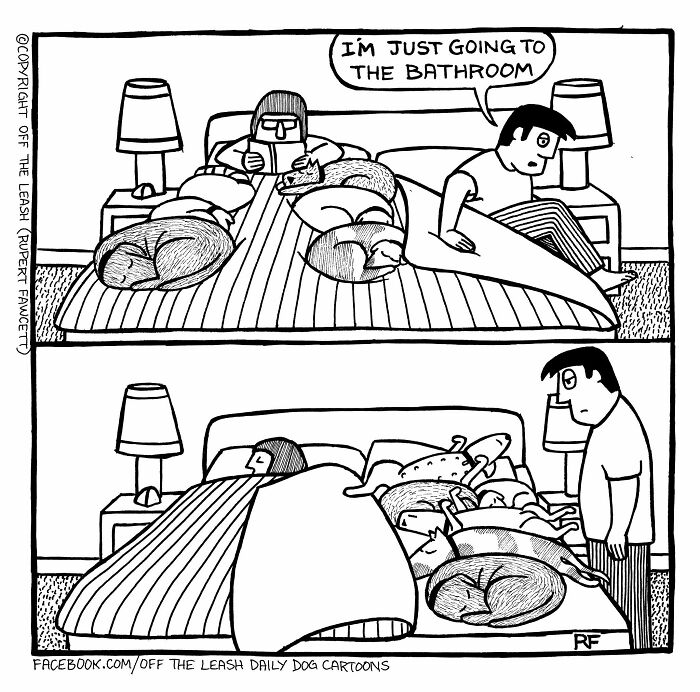 If You’re A Dog Owner, These 30 New “Off The Leash” Cartoons Might Totally Hit Home If You’re A Dog Owner, These 30 New “Off The Leash” Cartoons Might Totally Hit Home