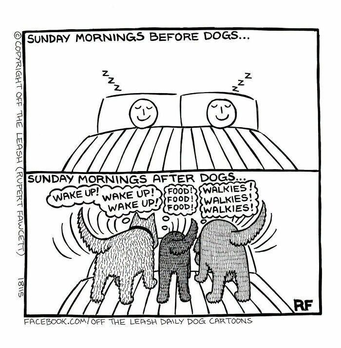 If You’re A Dog Owner, These 30 New “Off The Leash” Cartoons Might Totally Hit Home If You’re A Dog Owner, These 30 New “Off The Leash” Cartoons Might Totally Hit Home