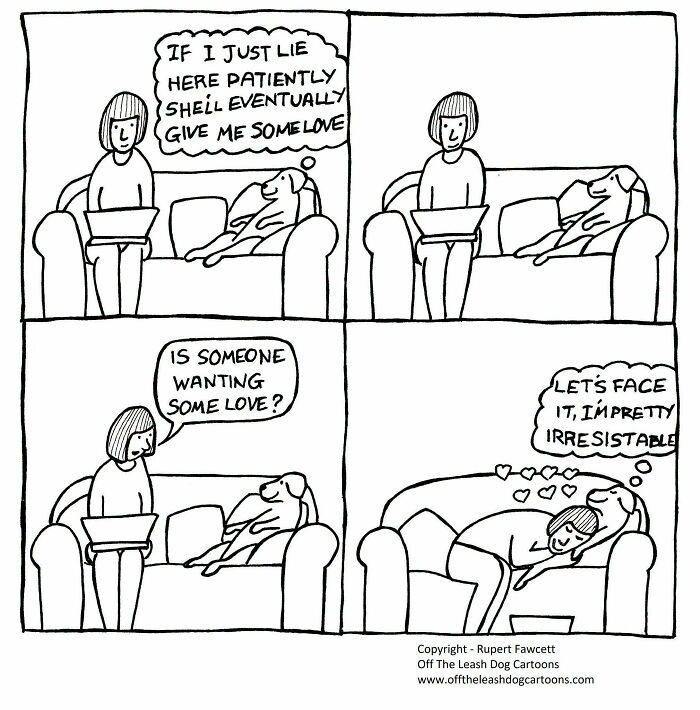 If You’re A Dog Owner, These 30 New “Off The Leash” Cartoons Might Totally Hit Home If You’re A Dog Owner, These 30 New “Off The Leash” Cartoons Might Totally Hit Home