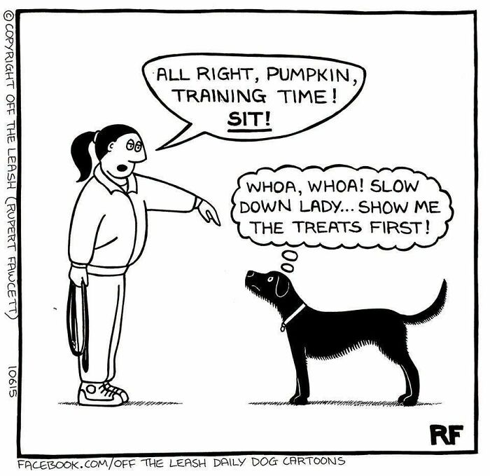If You’re A Dog Owner, These 30 New “Off The Leash” Cartoons Might Totally Hit Home If You’re A Dog Owner, These 30 New “Off The Leash” Cartoons Might Totally Hit Home